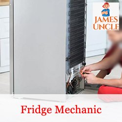 Fridge mechanic Mr. Bubai Pramanik in Radharghat